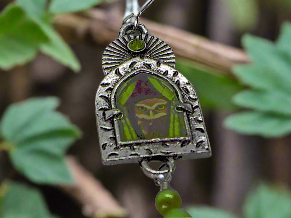 https://www.artistryjewelry.net/products/lovely-owl-in-the-window-earrings