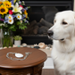 Lovely Howlite Pendant, Figaro Stainless Steel Chain Necklace-by Artistry Jewelry