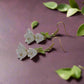 https://www.artistryjewelry.net/products/precious-white-flower-dangle-earrings