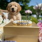 Rescue That Dog Bracelet