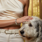 Rescue That Dog Bracelet