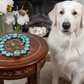 Lovely Crazy Lace Agate & Magnesite, Turquoise, Brown, Semi-precious, Beaded Necklace handcrafted by Artistry Jewelry