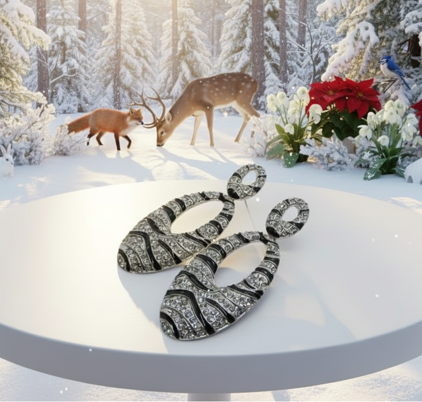 Enchanting Black and Silver Striped Earrings