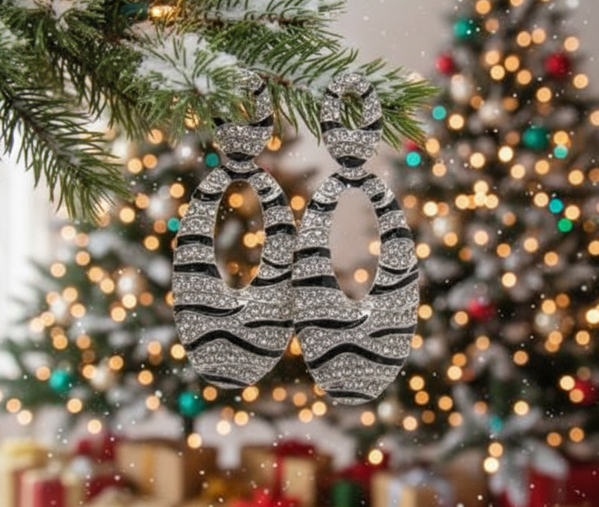 Enchanting Black and Silver Striped Earrings