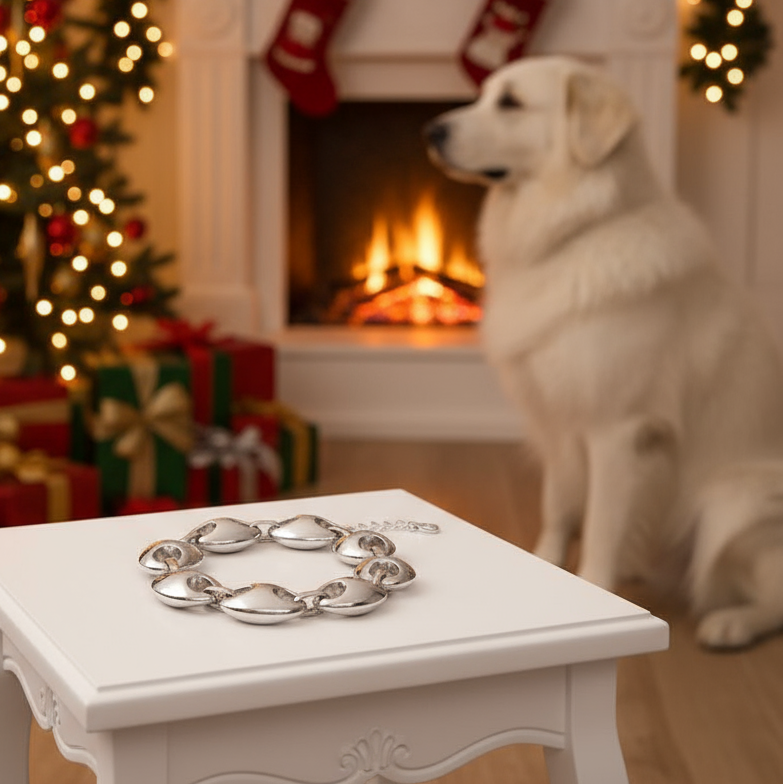 Beautiful Silver Mariner Chain Bracelet