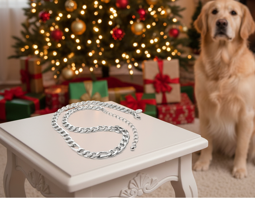 Exciting Silver Chain Necklace